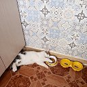 ���� �����, ������ - ��������� 25 ��� 2025 � ������ ���� ����������