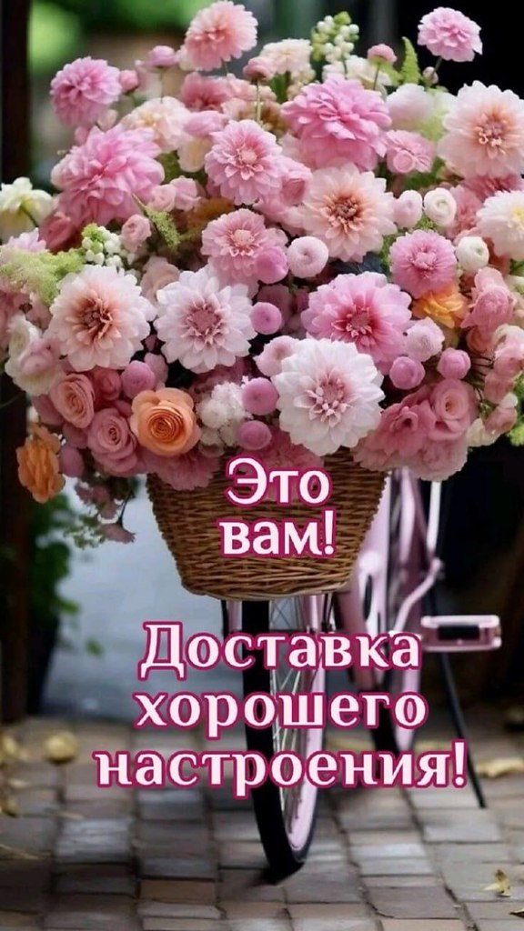 ���� �� ���������(������) - 25 ����� 2026 � 07:47