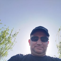 , 41, 