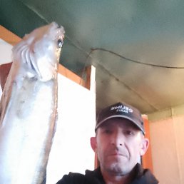 ���� �������, �����, 51 ��� - ��������� 1 ������� 2023