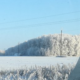 ���� ������, ������, 50 ��� - ��������� 24 ������� 2025