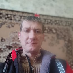 ����, 38 ���, �������