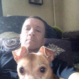 , 49 , 