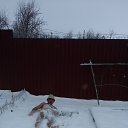 ���� ����, �������, 50 ��� - ��������� 25 ������� 2026 � ������ ���� ����������