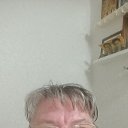 ���� ���� �-206, ������ - ��������� 2 ������ 2026 � ������ ���� ����������