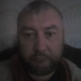 �����, ������, 39 ���