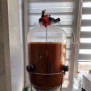 ���� ������, ������ - ��������� 7 �������� 2025 � ������ ���� ����������