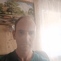 ,  , 41 