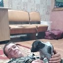 ���� �����, ������, 35 ��� - ��������� 8 ���� 2026 � ������ ���� ����������