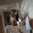 ���� �����, ������, 59 ��� - ��������� 28 ����� 2024 � ������ ���� ����������