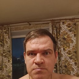 ������ �est., 49 ���, ������