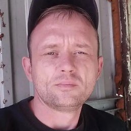 ���������, ������, 40 ���