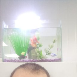 ���� ������, �����������, 39 ��� - ��������� 31 ������� 2025