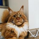 ���� �������, ������, 59 ��� - ��������� 7 ������� 2025 � ������ ������ ��������