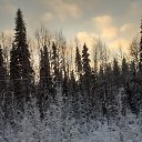 ���� �����, �������� - ��������� 14 ������� 2025 � ������ ������ ��������