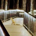 ���� ����, ������, 45 ��� - ��������� 10 ������� 2025 � ������ ���� ����������