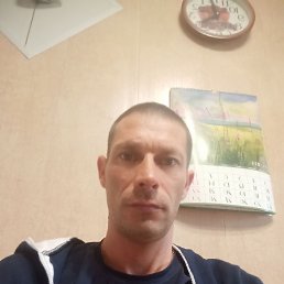 ��������, 41 ���, ���������