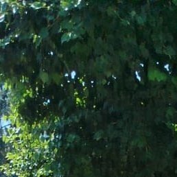 ��������, �����, 54 ����