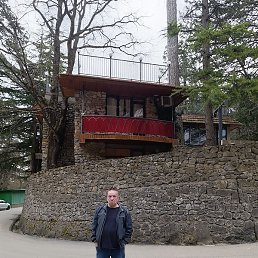 �����, ���������, 50 ���