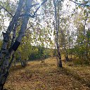 ���� ����, ����, 75 ��� - ��������� 19 �������� 2024 � ������ ���� ����������