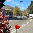 ���� �����, ���� - ��������� 29 ��� 2026 � ������ ������������