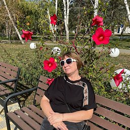 �������, ����������