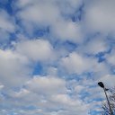 ���� �����, ������, 53 ���� - ��������� 5 ������� 2024 � ������ ���� ����������