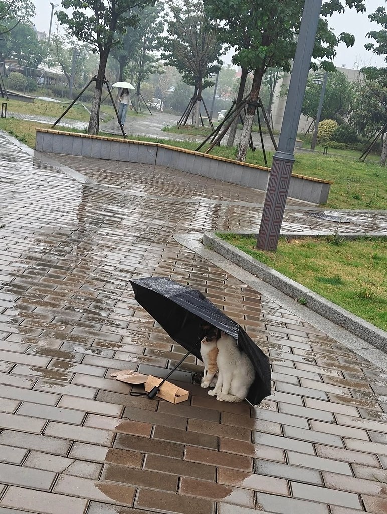 -    ,     -     .    - 2