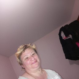 �����, 41 ���, ������