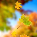 ���� �������, �������� - ��������� 23 �������� 2025 � ������ ������ ��������