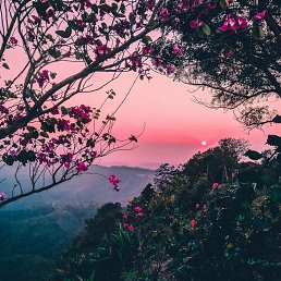 ���� ������, �����-���������, 21 ��� - ��������� 6 ��� 2025