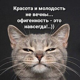 ��, ������-��-����, 37 ���