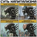 ���� ���������, �����, 49 ��� - ��������� 8 ��� 2026 � ������ ������ ��������