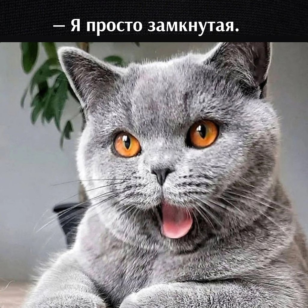 ��� ���� � ����� �� �� - 12 ����� 2025 � 12:48 - 2