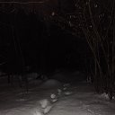���� �����, �������� - ��������� 19 ����� 2026 � ������ ���� ����������