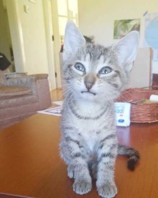 �� ��������� ������ �� ���=> - 2