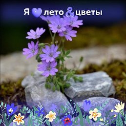 ������, �����, 51 ���