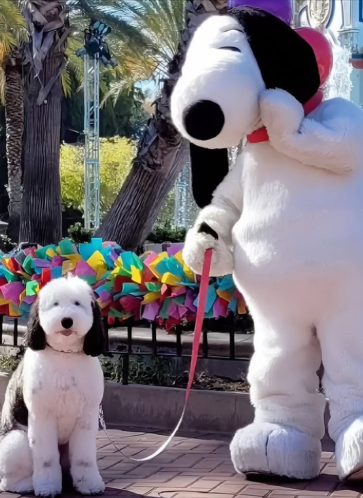 ����� � ���������, ������� �� ��������� ������� �����. Ÿ ������ ����������� ��������, ������� ... - 4