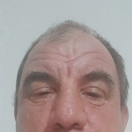 , 52, 