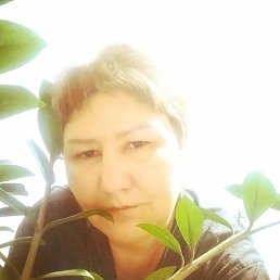 , 48, 