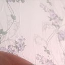 ���� �����, �����������, 26 ��� - ��������� 6 ������� 2024 � ������ ���� ����������