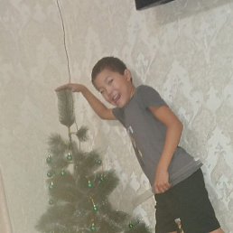 �����, ������, 37 ���