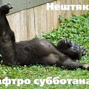 ���� ������, ������, 57 ��� - ��������� 9 ������ 2024 � ������ ���� ����������