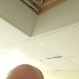 ������, ������, 55 ���