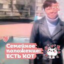���� ���������, �����, 40 ��� - ��������� 3 ������ 2024 � ������ ���� ����������
