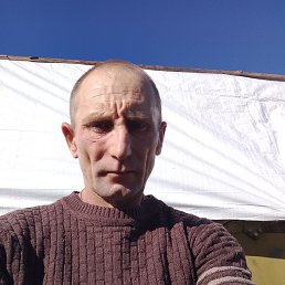 , 41 , 