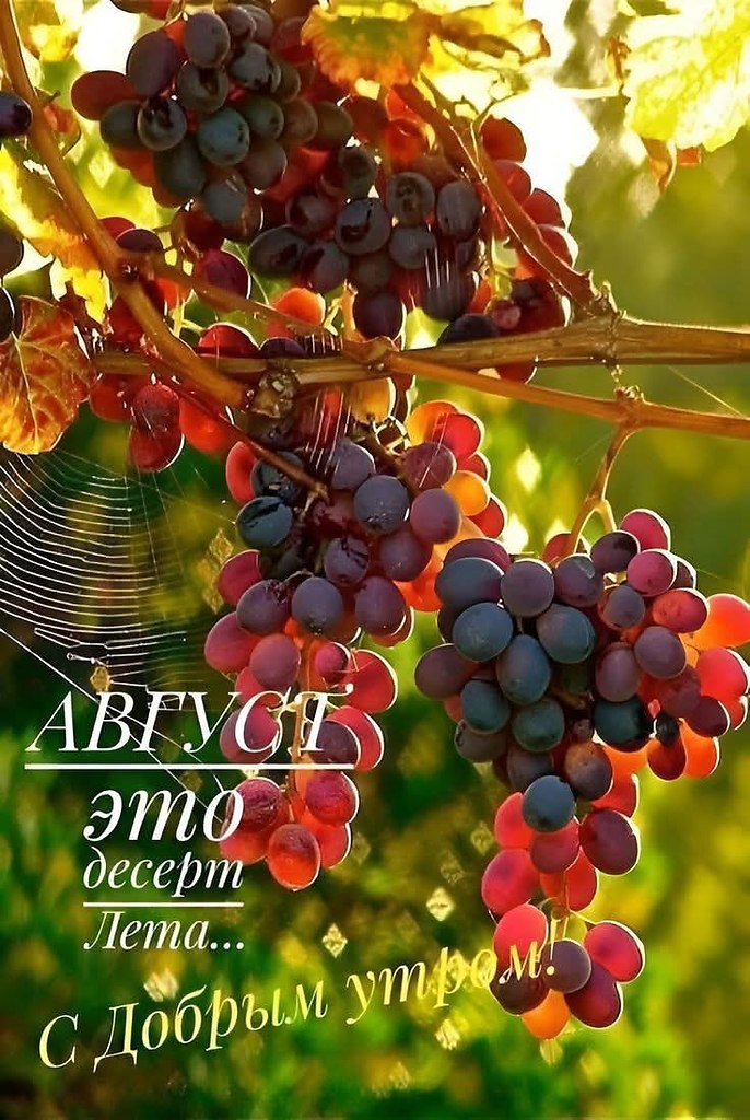 1    !       .      ...