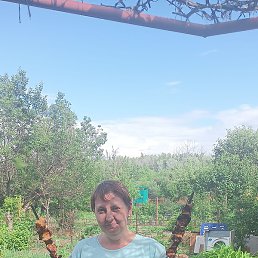 ����� ����������, ������, 45 ���