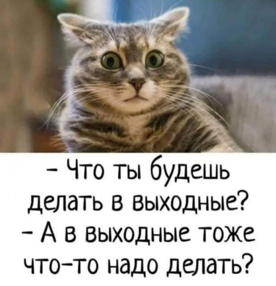 ОБО ВСЕМ - 20 июня 2025 в 20:16