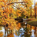 ���� �������, ������, 68 ��� - ��������� 11 ������� 2025 � ������ ������ ��������
